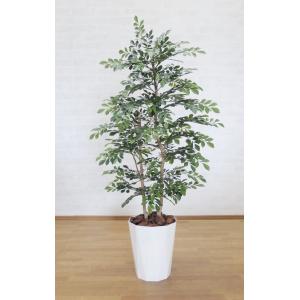 大きな葉 ジャイアント ポトス タワー 180cm (インテリア グリーン