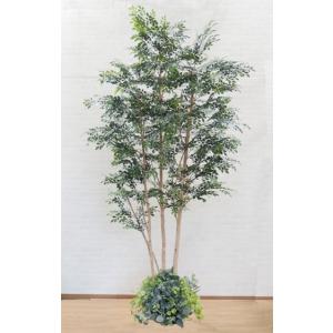 シマトネリコ 大型サイズ 自然な木 植栽付き 高さ230cm (大きい 造花 インテリア 人工 観葉植物 植栽 鉢付き 室内 ディスプレイ 造作 オブジェ 2.3m)｜ambix