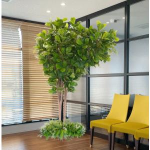 創作樹木 カシワバゴム＆トネリコ の木 280cm (大型 造花 インテリア 人工 観葉植物 室内 シンボルツリー 2.8m オリジナル 製造元 ベストグリーン 内装 業者)