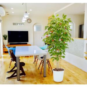 桜 の木 180cm (桜 造花 インテリア 観葉植物 サクラ 春 おしゃれ 室内