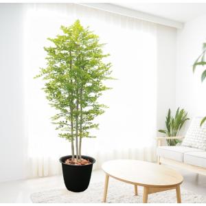 赤もみじ 180cm (造花 インテリア 室内 大型 人工 観葉植物 紅葉