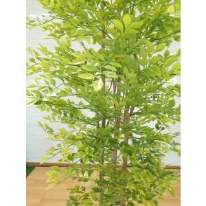 シマトネリコ 230cm (明るい葉 造花 人...の詳細画像2