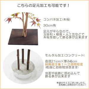 シマトネリコ 230cm (明るい葉 造花 人...の詳細画像5
