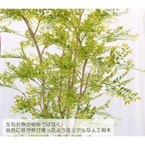 ヒマラヤソケイ 230cm (シマトネリコ 造...の詳細画像3