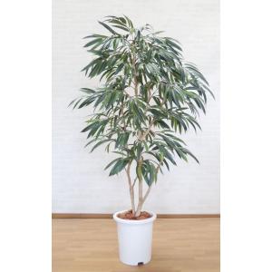 ベンジャミン スターライト 110cm (フェイクグリーン リアル 店舗 ミニ