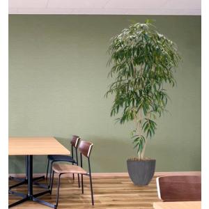 ショウナンゴムの木 250cm (フィカスイレグラリス 造花 インテリア 人工観葉植物 2.5m おしゃれ 室内 大型 フェイクグリーン ビンネンディキー)｜ambix