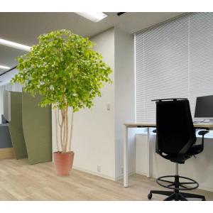 光触媒　人工観葉植物　フェイクグリーン　ヤマモミジ GREEN コアッド230 光触媒 人工観葉植物 フェイクグリーン ヤマモミジ GREEN