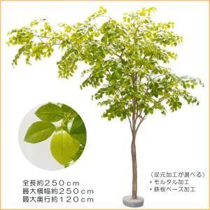 片流れの木 ナツツバキ 250cm(フェイクグ...の詳細画像1
