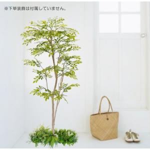 若葉色 シマトネリコ 150cm (造花 人工観葉植物 モクセイ科 和風 ガーデニング 造園 庭園 坪庭 インテリア おしゃれ 室内 装飾　1.5ｍ)｜ambix