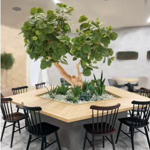 大型 ウンベラータの木 高さ220cm (フェイクグリーン 造花 ウンベラータ 鉢植え 人工観葉植物 造花 2m インテリア おしゃれ 室内 大型 メーカー オリジナル)