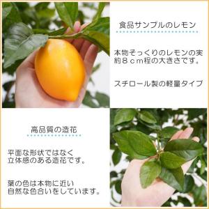 レモン の木 実付 230cm (人工観葉植物...の詳細画像1