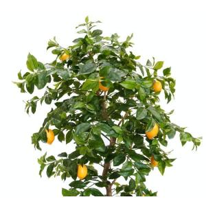 レモン の木 実付 230cm (人工観葉植物...の詳細画像2