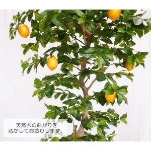 レモン の木 実付 230cm (人工観葉植物...の詳細画像3