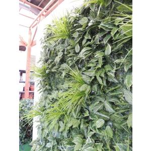 壁面緑化 パネル 2.3m×1.9m グリーン...の詳細画像3