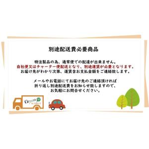 大型サイズ シェフレラ の木 高さ270cm ...の詳細画像3