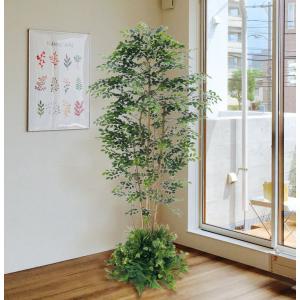 大きな葉 ジャイアント ポトス タワー 180cm (インテリア グリーン