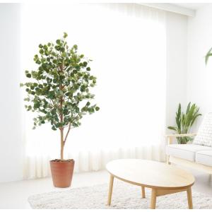 サクラ 210cm (造花 インテリア 観葉植物 桜 木 ピンク さくら 植栽