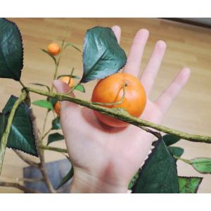 みかん の木 130cm (造花 ミカン 蜜柑...の詳細画像1