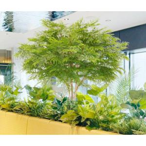 エバーフレッシュ 180cm (ネムノキ 造花 インテリア 人工 観葉植物