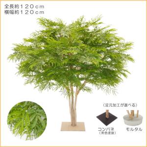 幅広がりのエバーフレッシュ 120cm (ネム...の詳細画像1