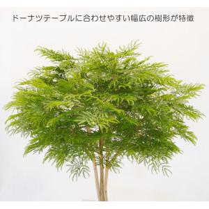 幅広がりのエバーフレッシュ 120cm (ネム...の詳細画像2