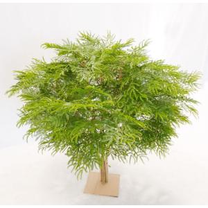 幅広がりのエバーフレッシュ 120cm (ネム...の詳細画像4