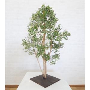 ツゲの木 グリーン 100cm (つげ 柘植 造...の商品画像