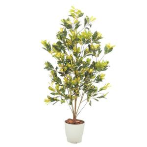クロトン 150cm (観葉植物 造花 インテリア グリーン 室内 おしゃれ 植栽 装飾 ディスプレイ)｜ambix