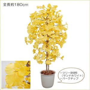 イチョウ ツリー 180cm (造花 人工観葉...の詳細画像2