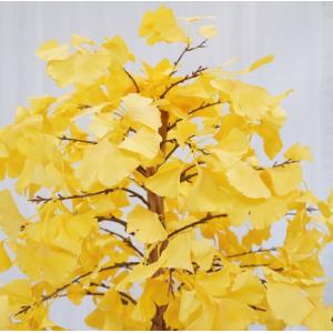 イチョウ ツリー 180cm (造花 人工観葉...の詳細画像4