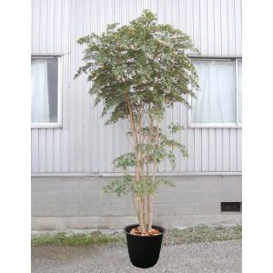 ウンベラータ 180cm 鉢植え (造花 フィカス インテリア おしゃれ 室内