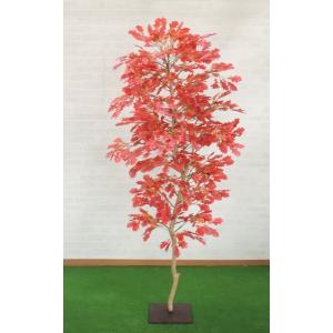 クヌギツリー 1cm コナラ 紅葉 造花 インテリア 樹木 人工観葉植物 コンパネベース 1 2m ブナ科コナラ属 落葉高木 Am5029 1 造花観葉植物専門店ビワールデコ 通販 Yahoo ショッピング