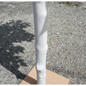 白い木 高さ180cm ホワイトバーチ(ジョイ...の詳細画像5