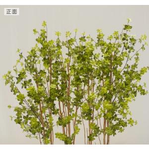 ドウダンツツジ パーテーション 160cm (...の詳細画像3