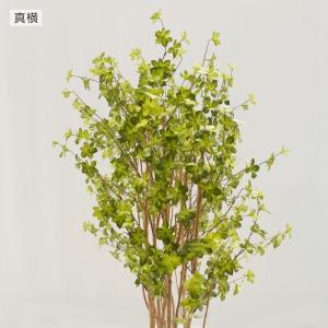 ドウダンツツジ パーテーション 160cm (...の詳細画像5