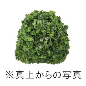 ボックスウッド 背が高い 三角錐 オブジェ 高...の詳細画像2