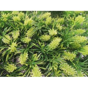 人工芝 26cm スギゴケマット (5枚) (...の詳細画像3