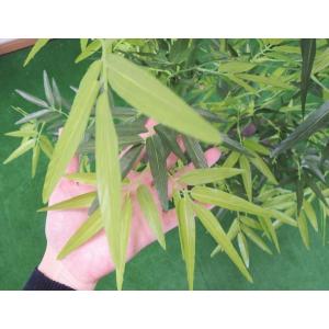 青竹 8本立 パーテーション 180cm (人...の詳細画像4
