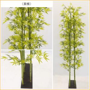 青竹 8本立 パーテーション 210cm (人...の詳細画像5