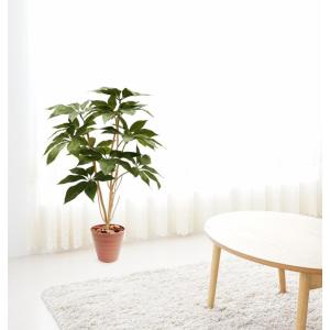 シマトネリコ 200cm 上広がりバージョン (人工 観葉植物 造花
