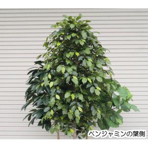 3種類 造作樹木 220cm (造花 ベンジャ...の詳細画像4
