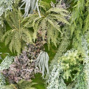 壁面緑化 パネル 全長 150cm 苔とシダ系...の詳細画像2