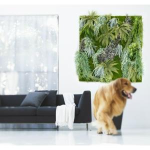 壁面緑化 パネル 全長 150cm 苔とシダ系...の詳細画像5