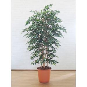 桜大型インテリア観葉植物 観葉植物 桜 鉢植え」の人気商品一覧 | 安い商品を通販サイト