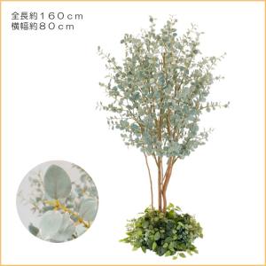 ユーカリ 下草装飾付き 160cm (造花 イ...の詳細画像1