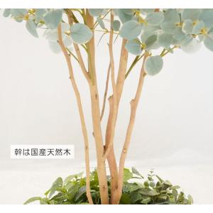 ユーカリ 下草装飾付き 160cm (造花 イ...の詳細画像5