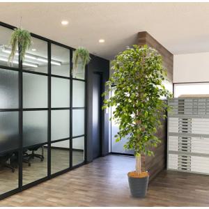 フィカスツリー 240cm (グリーン 人工樹木 人工観葉植物 造花 2.4m インテリア おしゃれ 室内 大型 装飾 ベンジャミン)