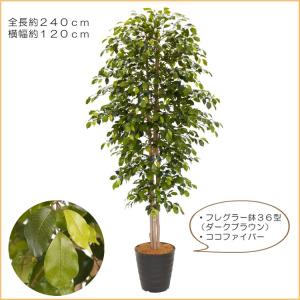 フィカスツリー 240cm (グリーン 人工樹...の詳細画像2
