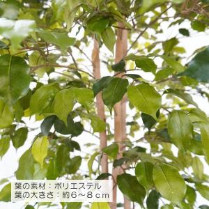 フィカスツリー 240cm (グリーン 人工樹...の詳細画像5