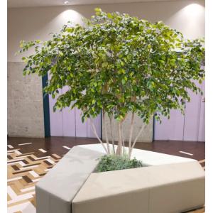 アンブレラ型 ベンジャミン 高さ250cm 大型サイズ (人工観葉植物 造花 フェイク 樹木 造木 インテリア 室内 装飾 ディスプレイ)｜ambix